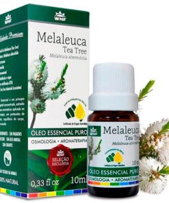 óleo essencial melaleuca tea tree oleo melaleuca