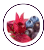 hibiscus frutas roxas
