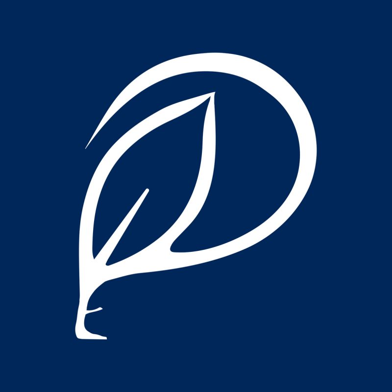 Logotipo patricia elias estética e saúde